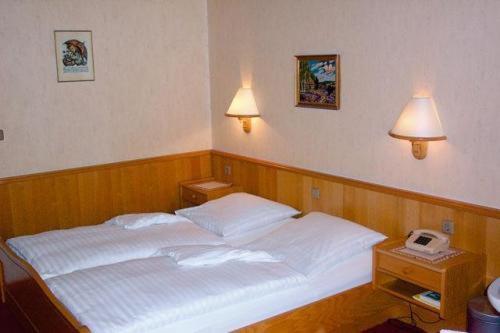 Hotel Waldesruh Georgsmarienhütte Oda fotoğraf